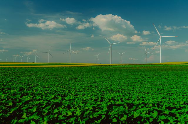 Projeto de energia renovável e gestão de resíduos